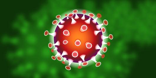 Corona-Virus © Pixabay Corona-Virus